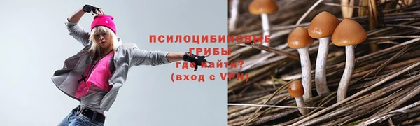 ALPHA PVP Касимов