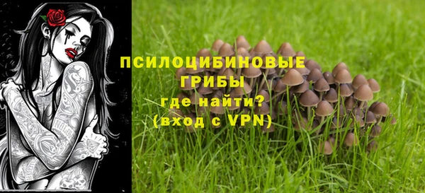 ALPHA PVP Касимов