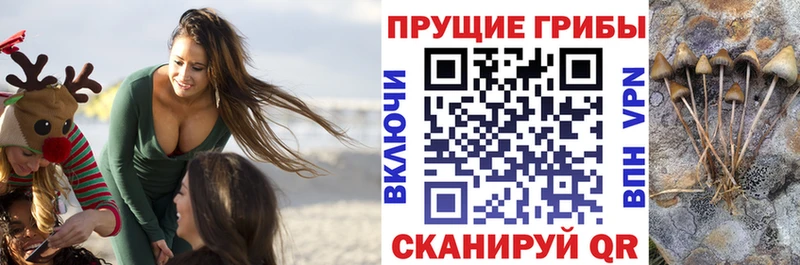Псилоцибиновые грибы мухоморы  Купить  Удачный 